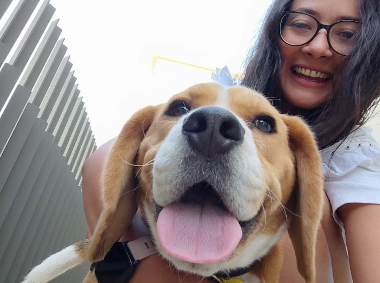 cuidado personalizado para tu mascota en Barcelona