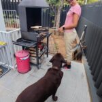 Hotel para perros en barcelona
