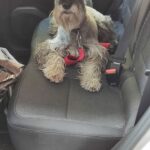 Solicita tu cita y te confirmaremos disponibilidad